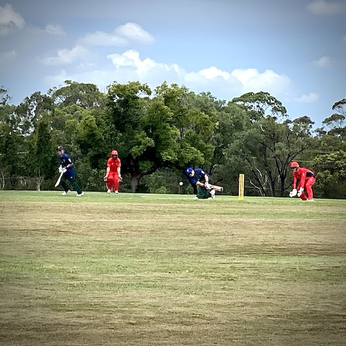 CATS player batting against South Australia and hitting the ball into the outfield