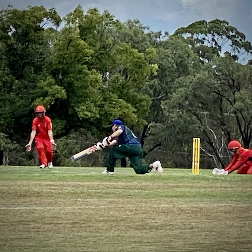 CATS player batting against South Australia and hitting the ball into the outfield